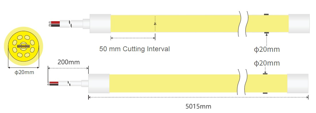 D20 360° D20 360°